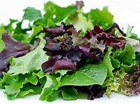 Fresh Mixed Leaf Salad 100gr - £ 1.50  per packet