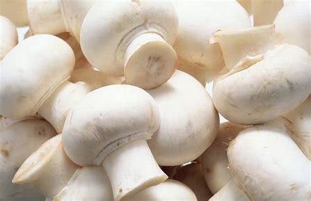 Fresh Mushrooms White 250gr - £ 1.20  per packet