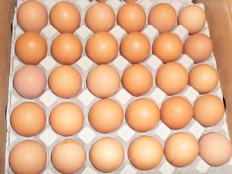 Fresh Local Medium eggs 30 tray - £ 6.00  per packet