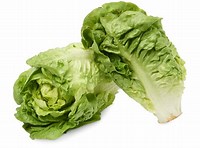 Fresh Lettuce Little Gem (2 in packet) - £ 1.80  per packet