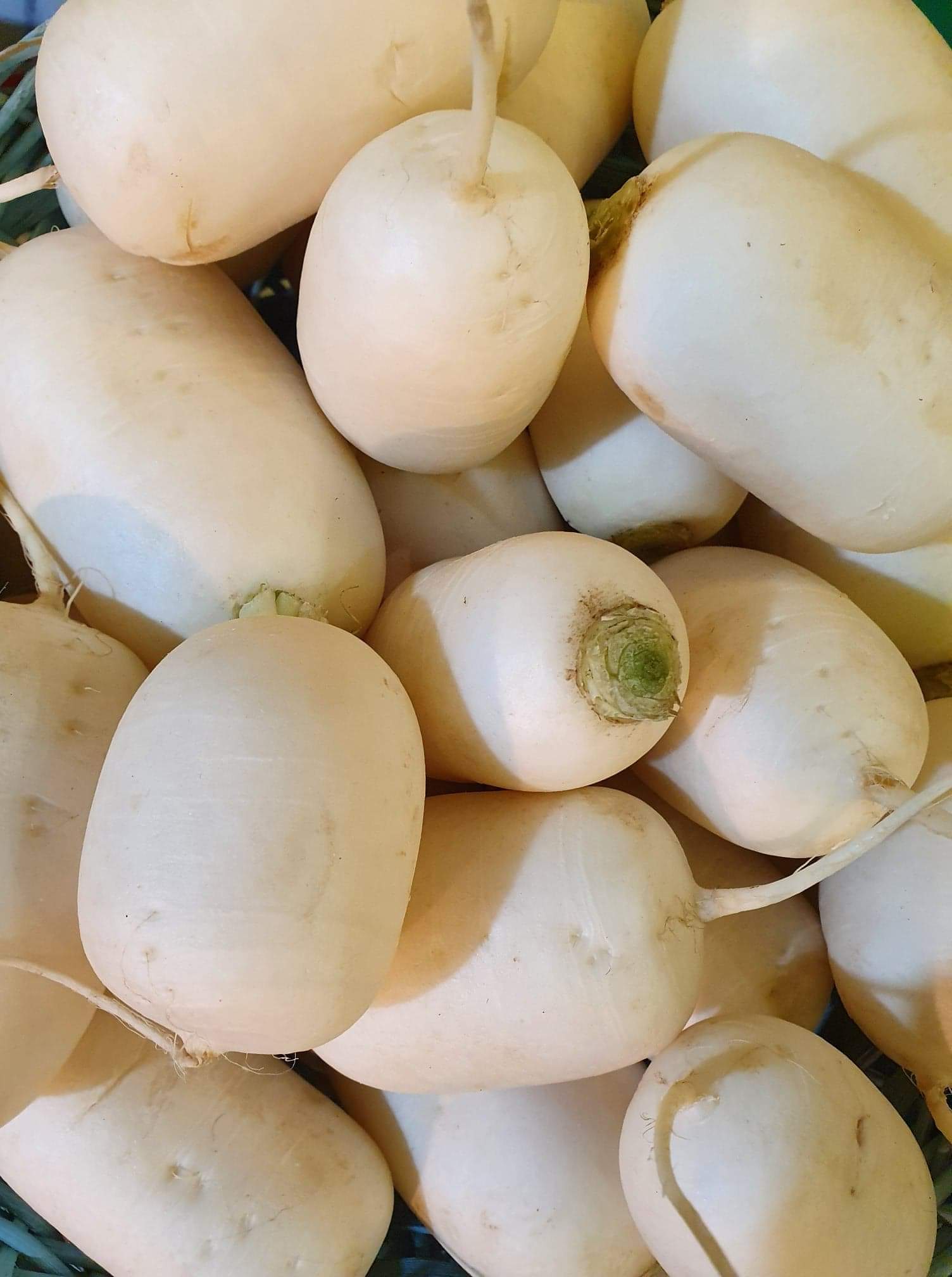 Fresh White turnip - £ 1.50  per lbs