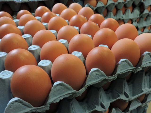 Fresh Local free range very large eggs 0.5 dozen - £ 2.10  per box
