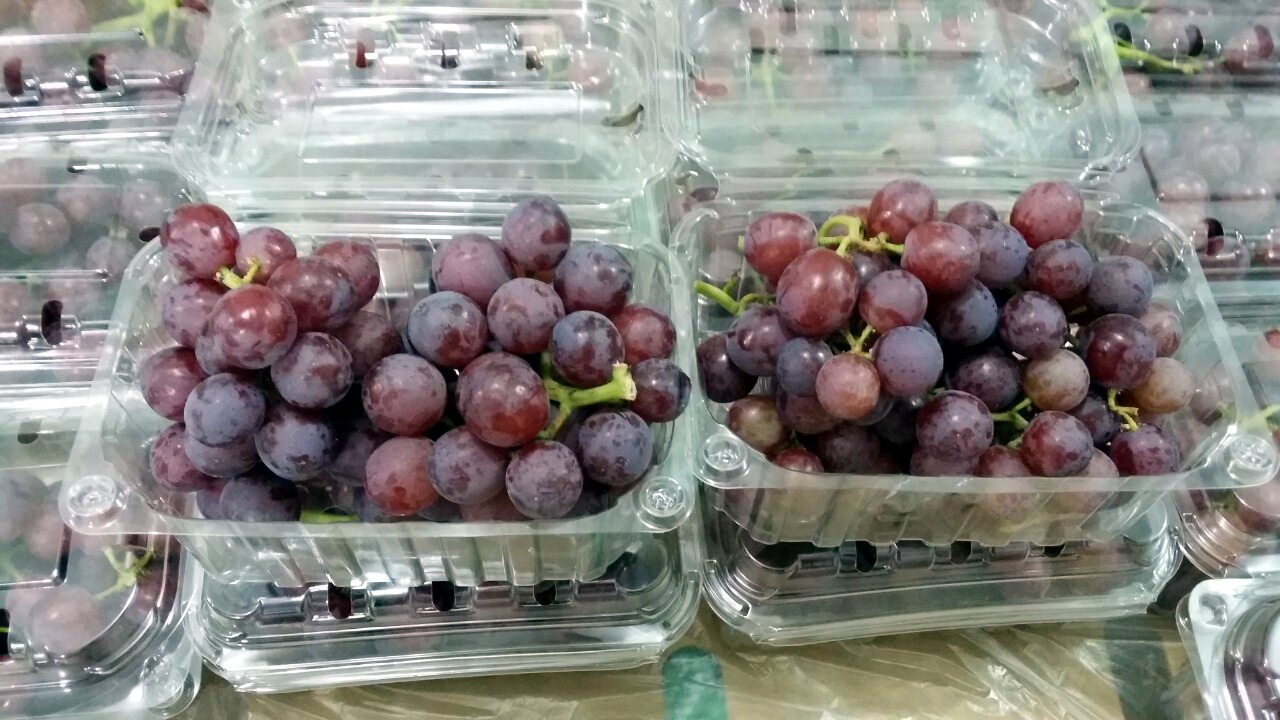 Fresh Grapes Red/Black  punnet 500g - £ 2.80  per each