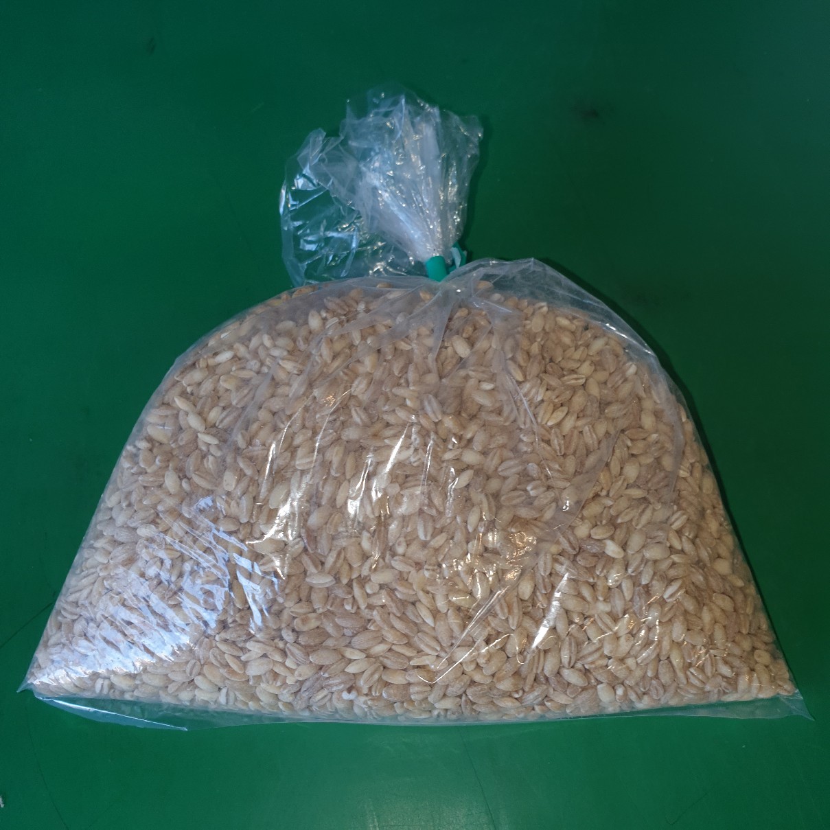Fresh Pearl Barley 0.5kg bag - £ 1.50  per bag