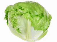 Fresh Lettuce Iceberg - £ 1.40  per each