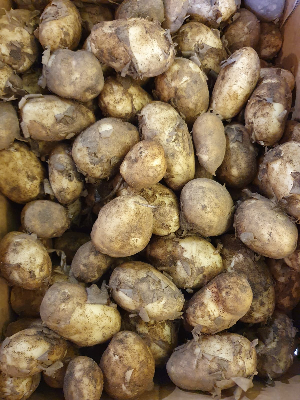 Fresh Local New Season Potatoes - £ 0.99  per lbs