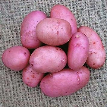 Fresh Potatoes Red Skin - £ 0.81  per lbs