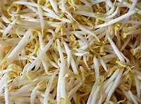 Fresh Bean Sprouts - £ 0.80  per packet