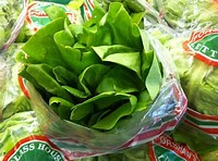 Fresh Lettuce Flat - £ 0.70  per each