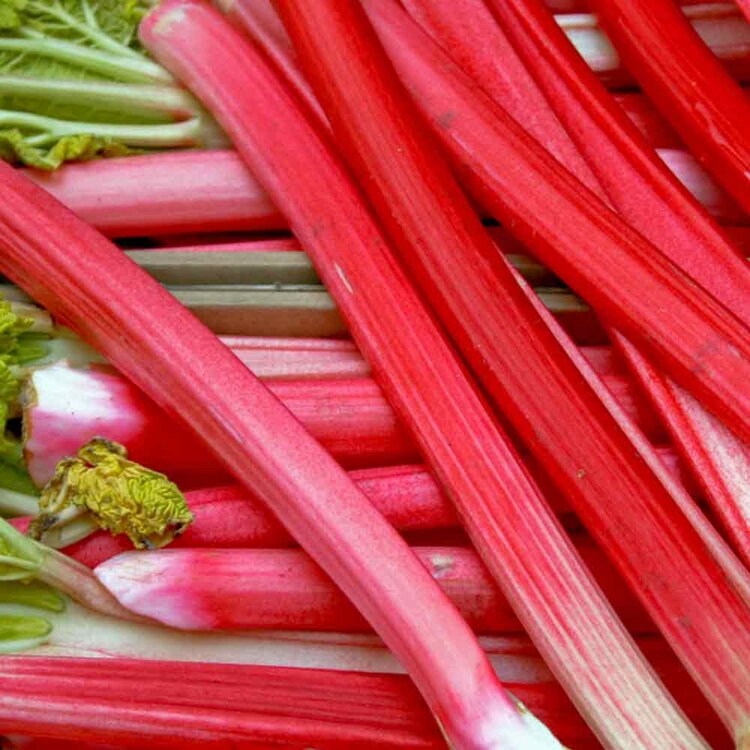 Fresh Rhubarb - £ 2.27  per lbs